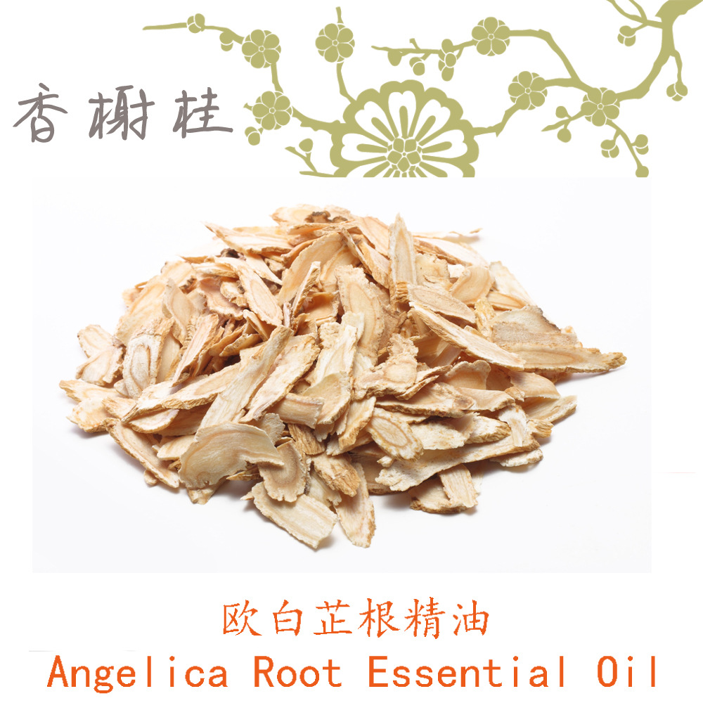 印度欧白芷根精油 angelica root 洋当归单方精油 3ml起订