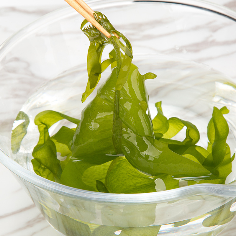 供应海藻裙带菜海白菜海木耳火锅食材海珍品