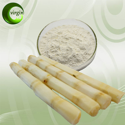 全水溶果粉 甘蔗粉 甘蔗提取物 甘蔗汁粉 固体饮料原料 现货供应
