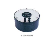 上海沪光电子BG6标准自感线圈1H