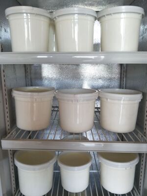 青海倒淌河黑科藏传素食特产牦牛酸奶桶装酸奶1.5kg桶装牦牛酸奶