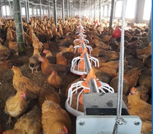 肉鸡料线养殖设备水线料线自动饮水器鸡用料线料线水线