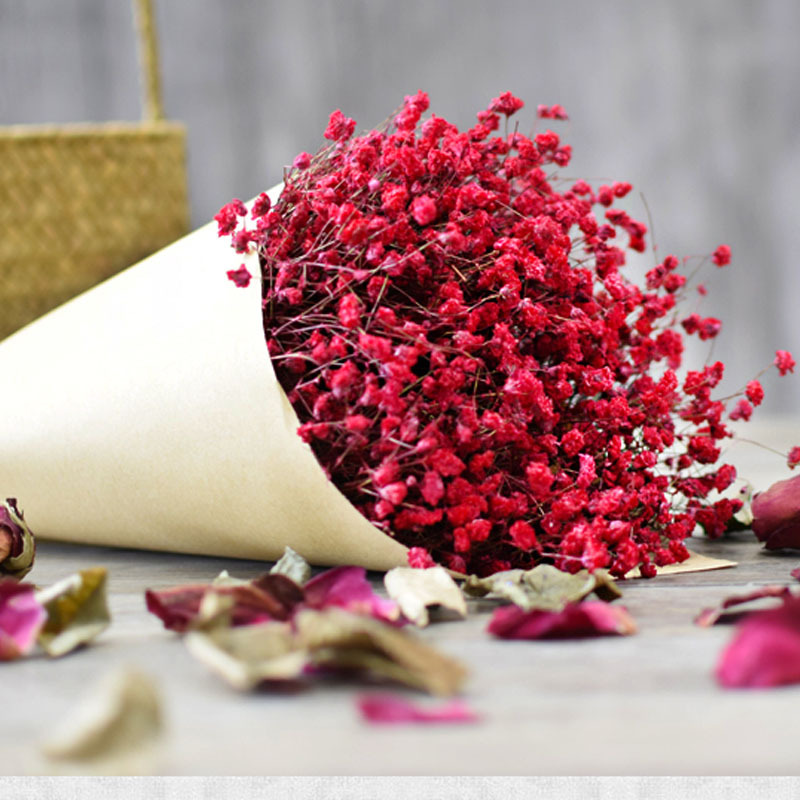 云南特产 满天星干花 永生花 插花花艺 勿忘我 干花假花批发