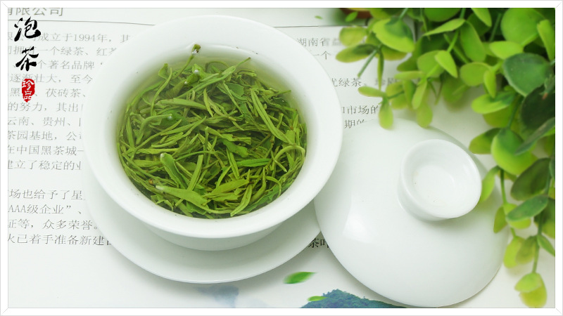 新茶清明毛尖 芽头多 白毫直条毛尖 非信阳绿茶毛尖味道浓