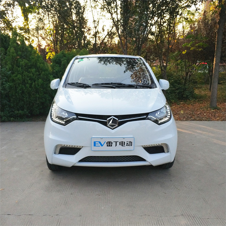 雷丁d70电动四轮车成人电动汽车轿车油电两用代步车新能源观光车