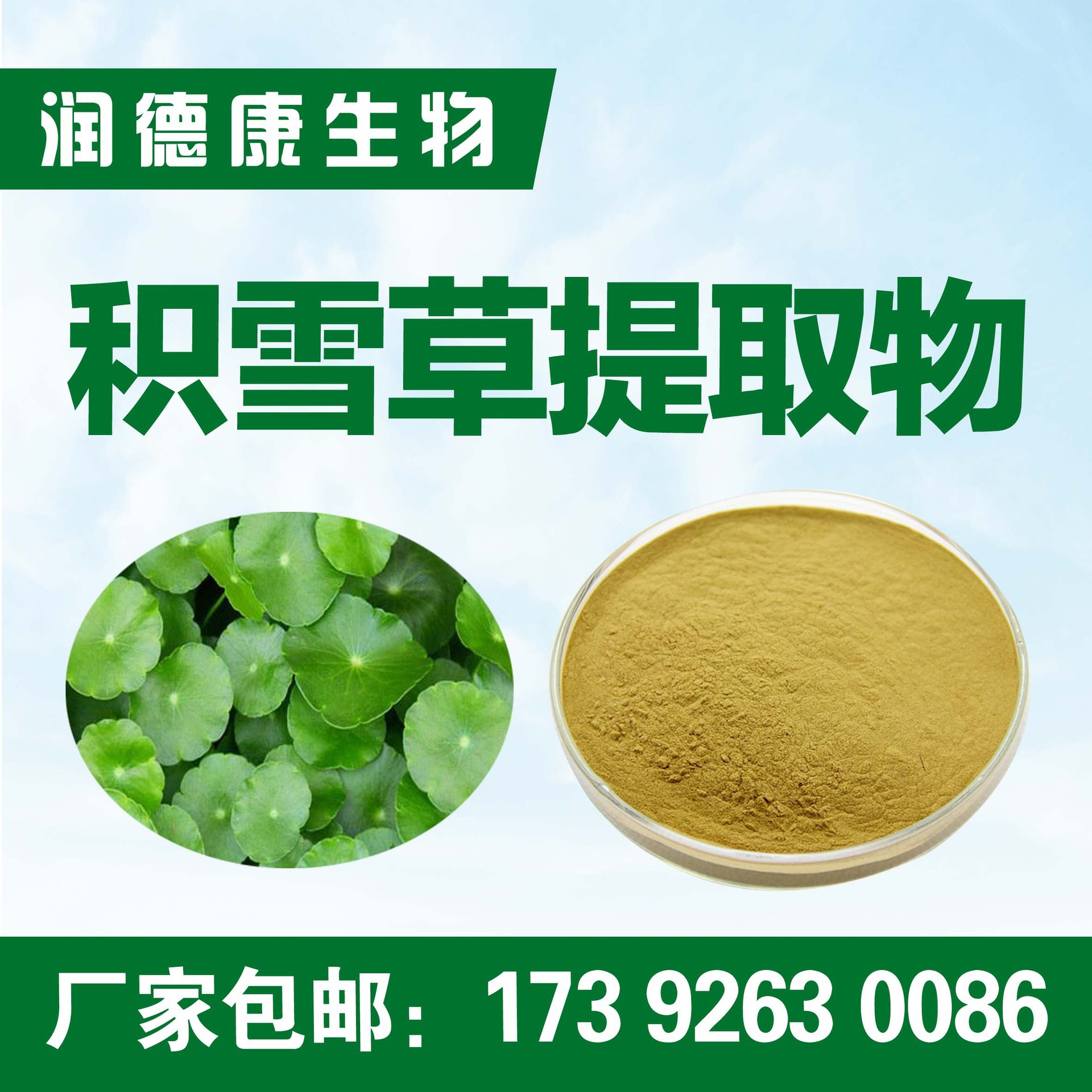 积雪草提取物20:1 积雪草苷 1kg起订 水溶免费包邮 精品优选