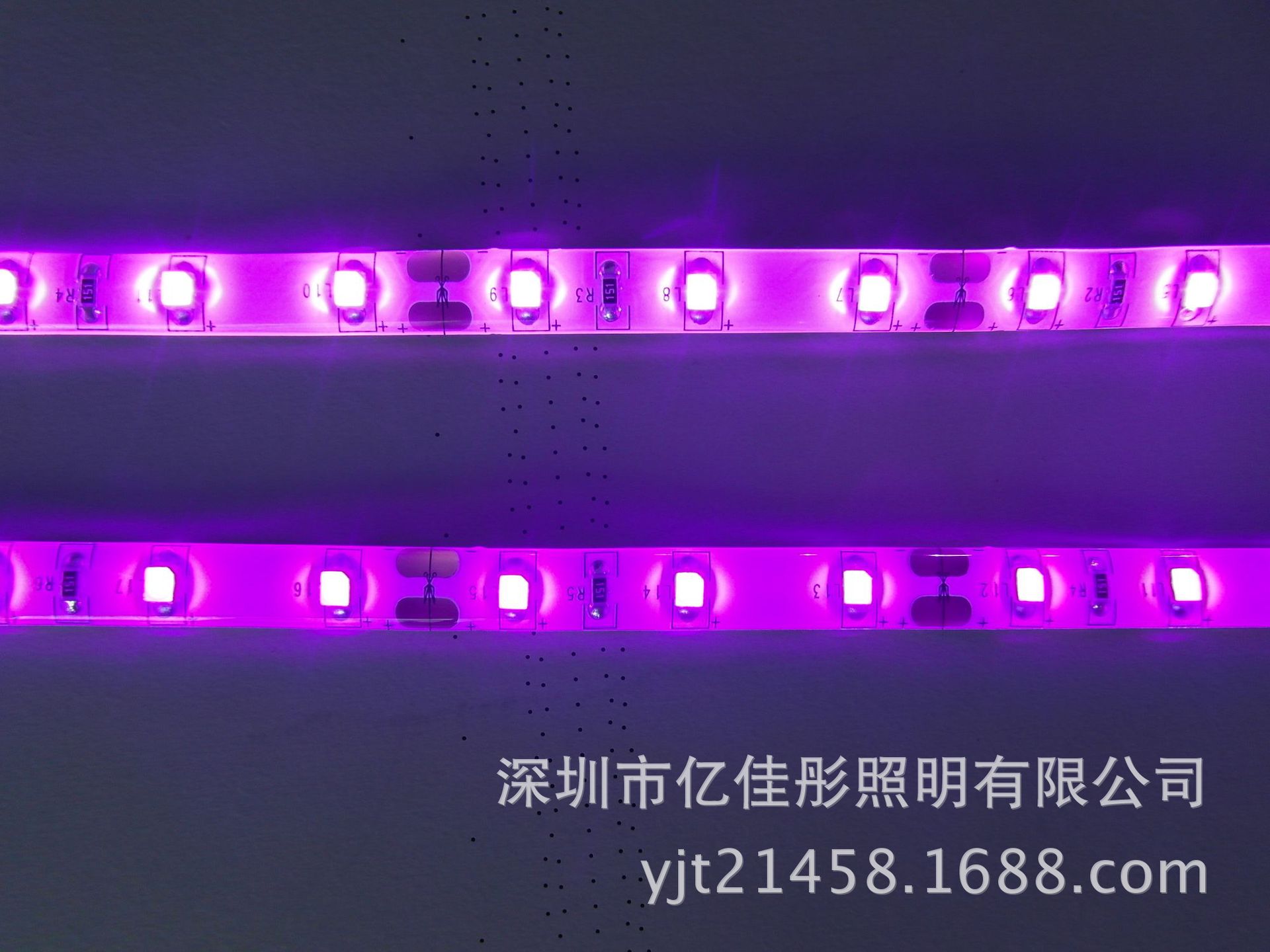 厂家专业生产 5v 12v 24v 3528贴片,紫光 uv光 led灯条 灯带