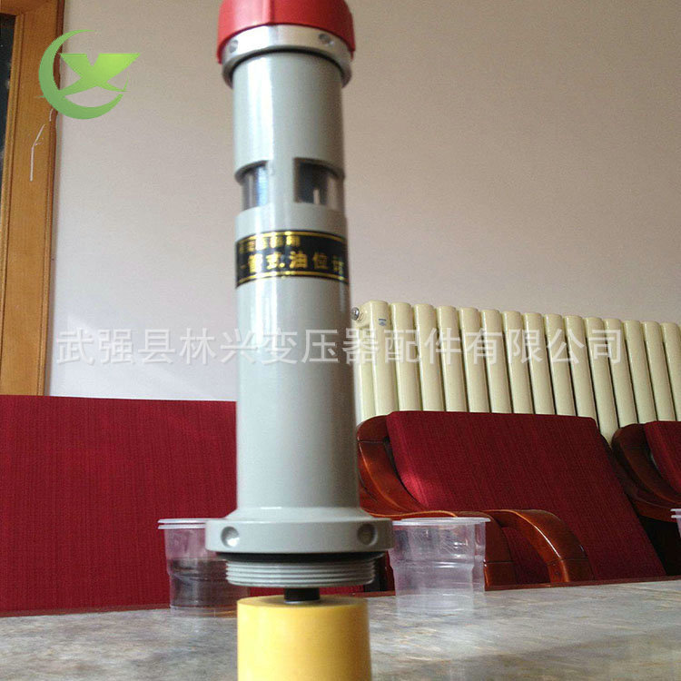 变压器多功能管式油位计 油浸式油位计耐用 林兴专业定制