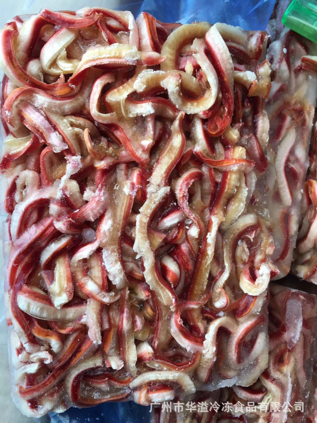 冷冻北极贝裙边 2斤/袋 广州批发珊瑚蚌 北极贝裙边