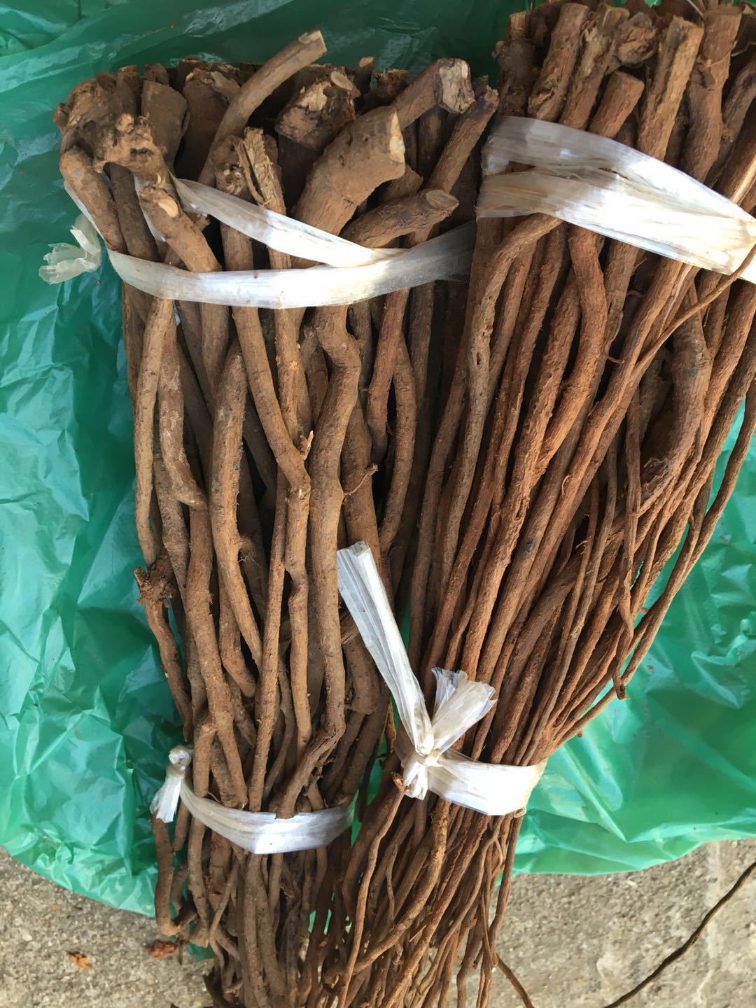 千斤拔整条吊马桩 千斤吊 老鼠尾千金拔金牛尾一条根药材批发部