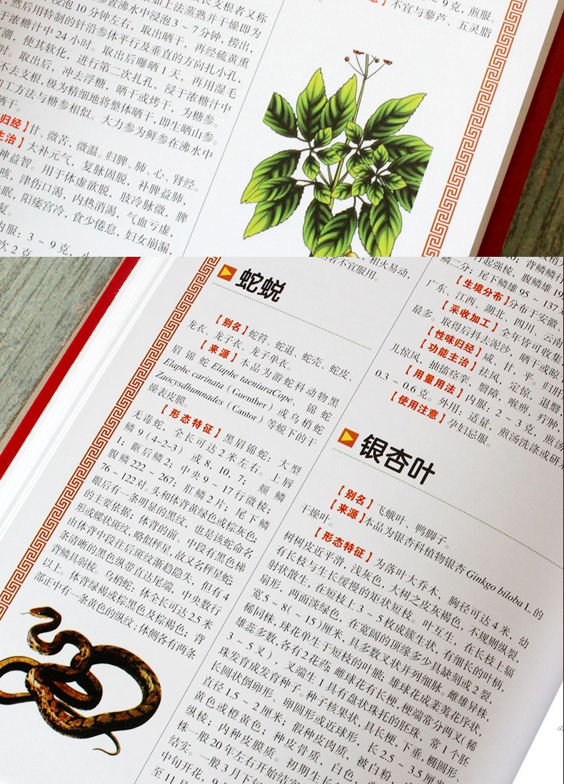 正版现货 国家药典中药彩色图鉴 精装中药材大全图鉴中医学书籍中