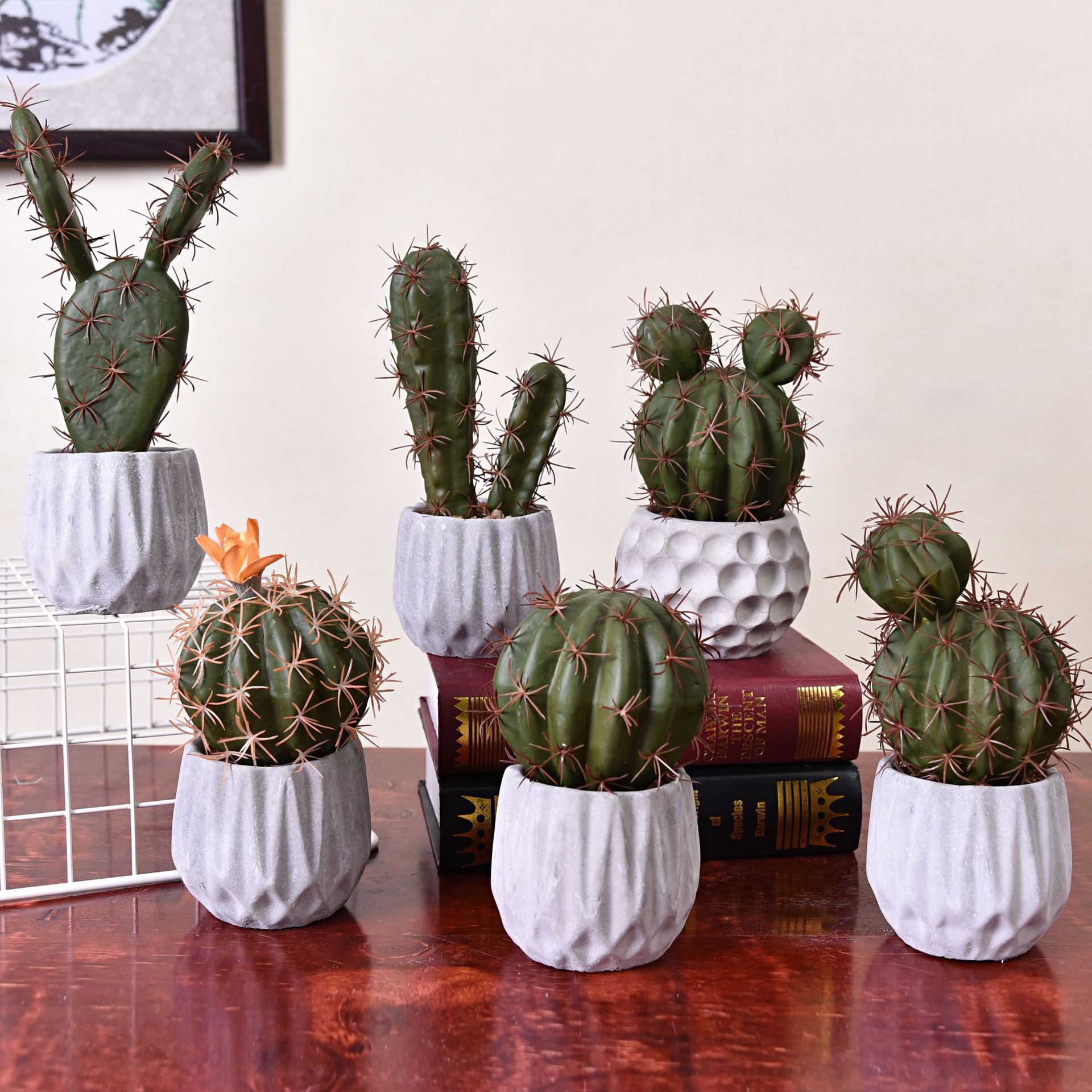 仿真水泥盆仙人球 绿植盆栽多肉植物盆景室内植物仙人掌盆栽仙人