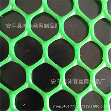 厂家供应方格塑料导流滤网 绿色塑料双拉平网 小鸡养殖网床