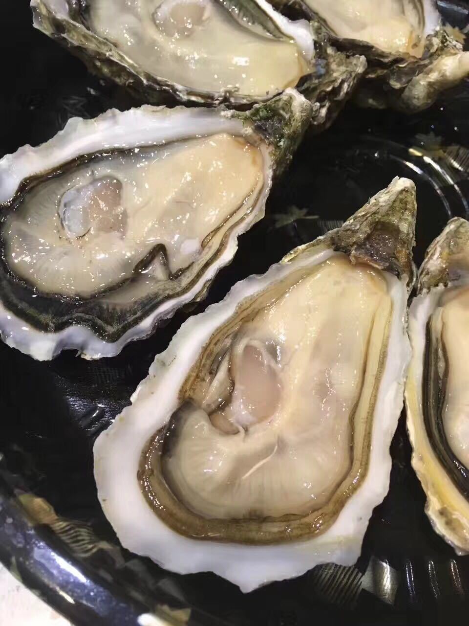 法国生蚝吉拉多吉娜朵新鲜活海鲜生吃即食刺身水产48-50只/盒