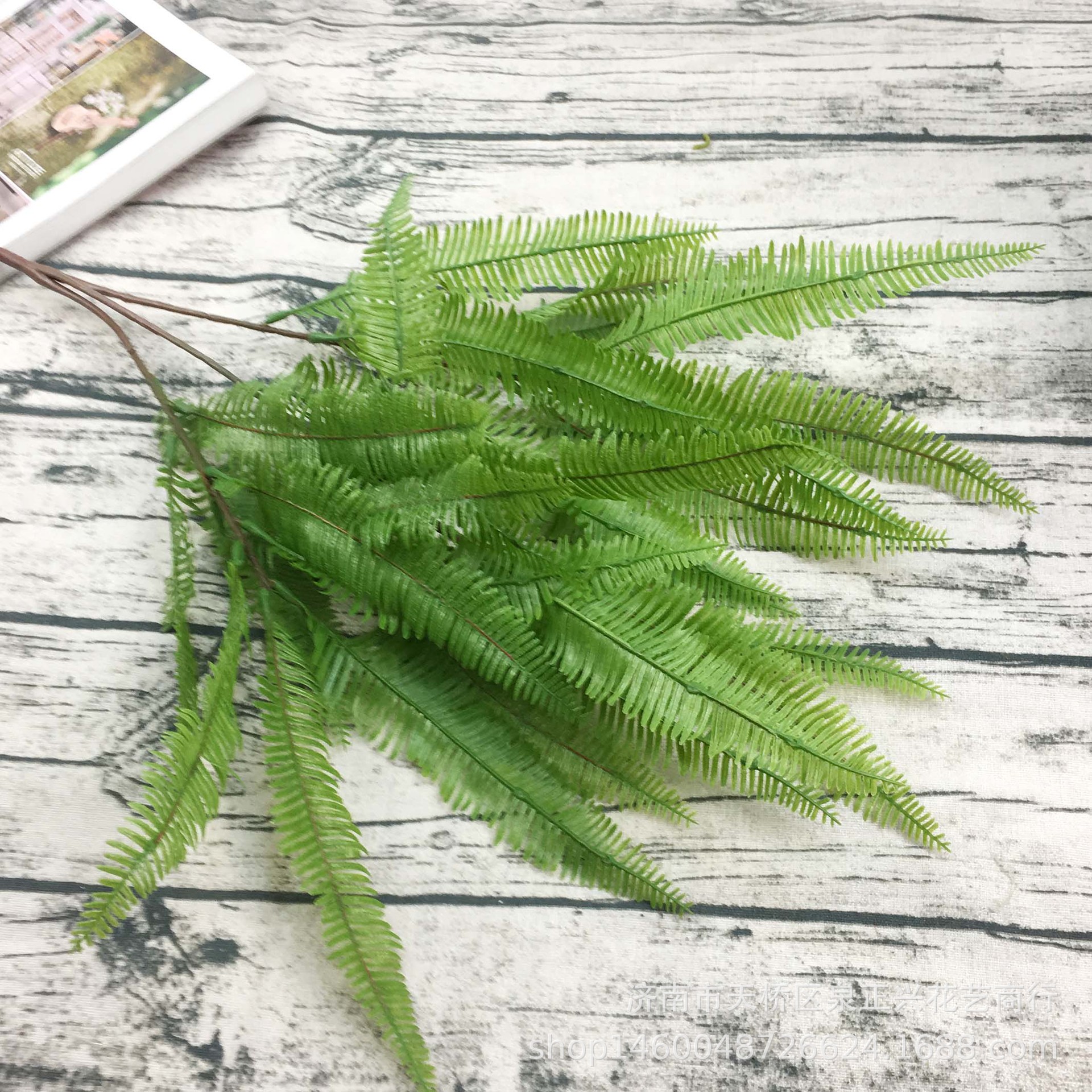 仿真蕨类植物肾蕨仿真花假花婚庆家居景观摄影场地绿植墙装饰