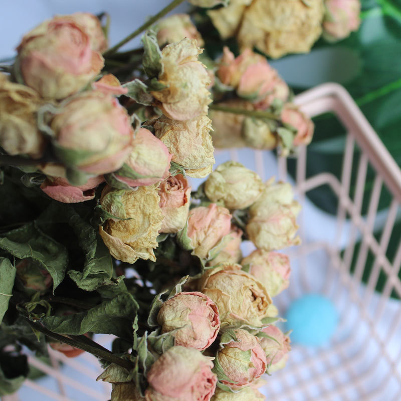 新品天然风干多头玫瑰干花蔷薇小玫瑰家居装饰拍照道具花束原材料