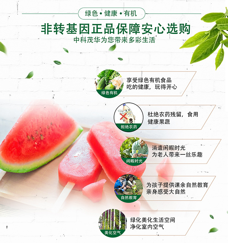 中科茂华蔬菜水果种子中科六号西瓜种子美都麒麟西瓜种籽改良8424