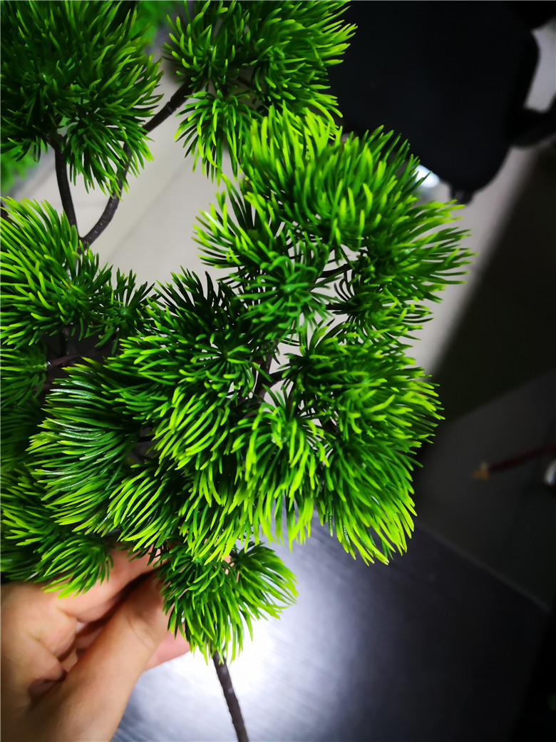 美人松松叶松枝崖柏装饰叶子松针松柏树叶鱼缸枯树装饰小松子