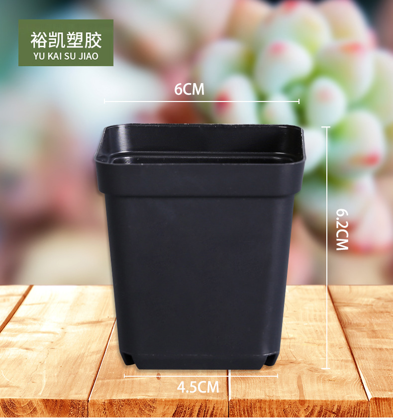60mm塑料花盆 厂家批发迷你植物盆小方盆落地小黑方多肉花盆