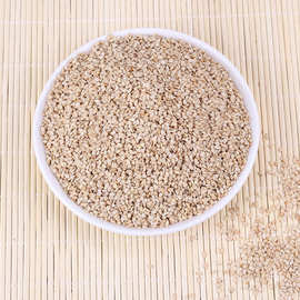 21年色选白芝麻 黄芝麻 干净无沙食品用大量批发