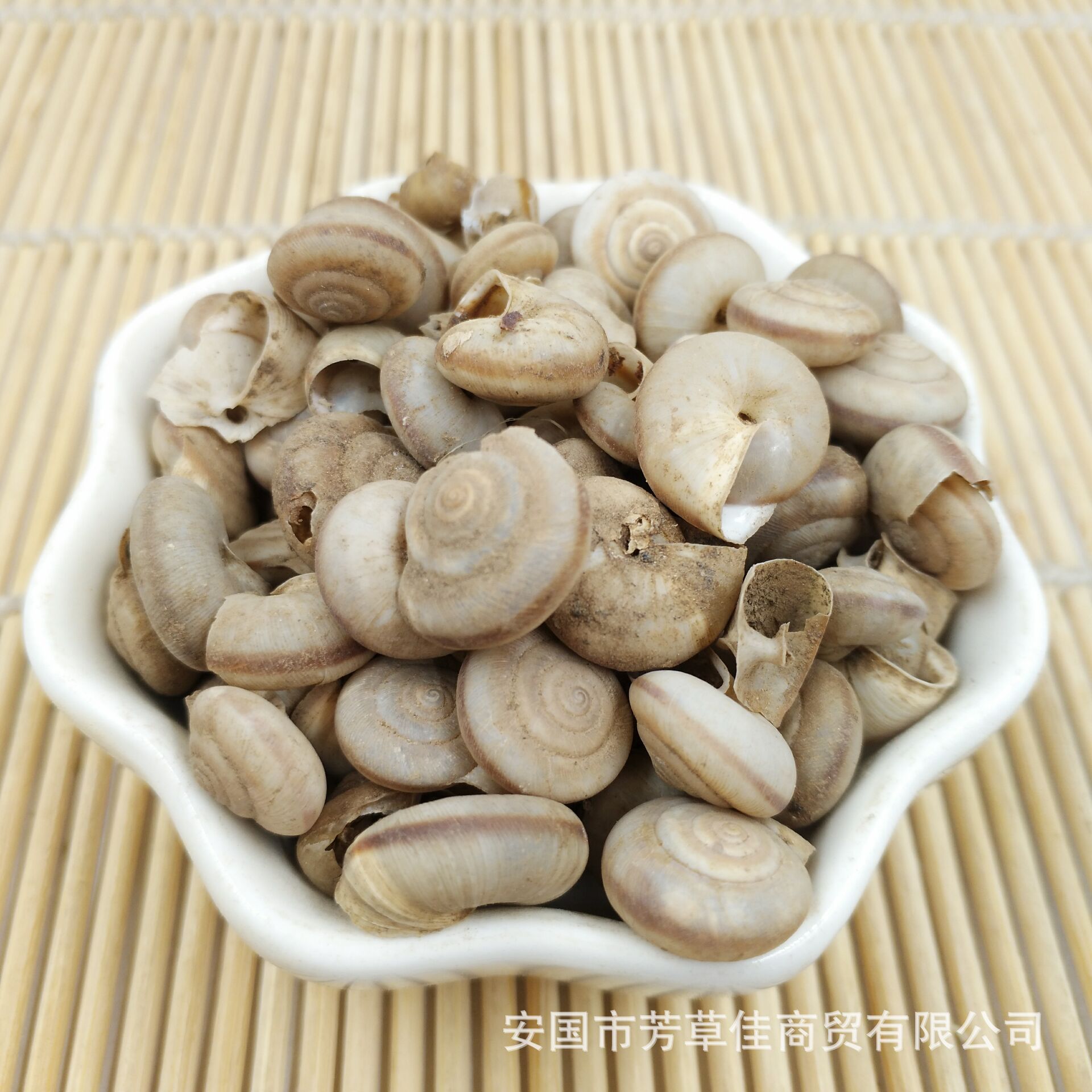 批发供应蜗牛壳 蜗牛 天螺蛳-阿里巴巴