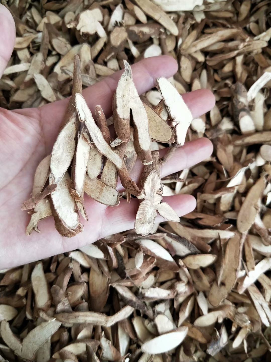 批发中药材千斤拔一条根吊马桩每件500克