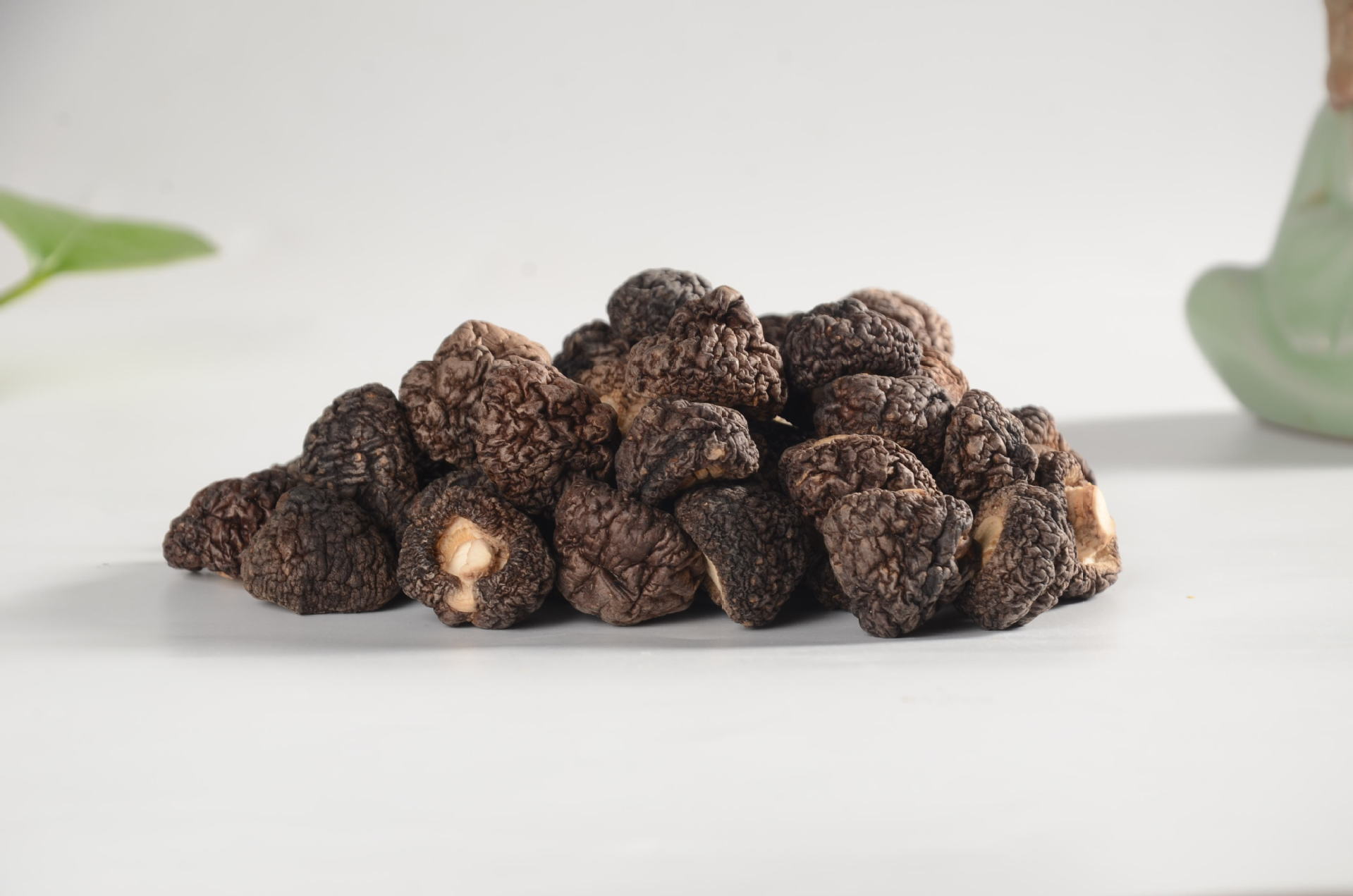 古田食用菌南北干货金钱菇500g批发 山货土特产 厂家供应量大从优