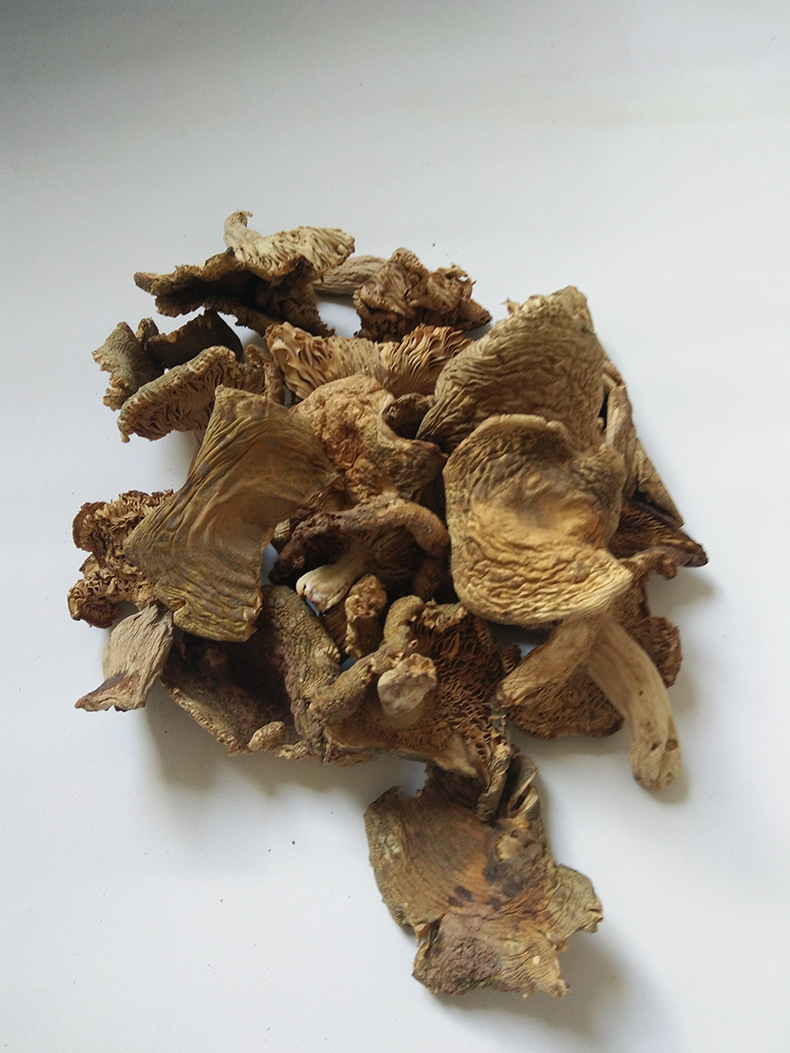 云南青头菌云南源产地供应青头菌青头菇青菇干货批发