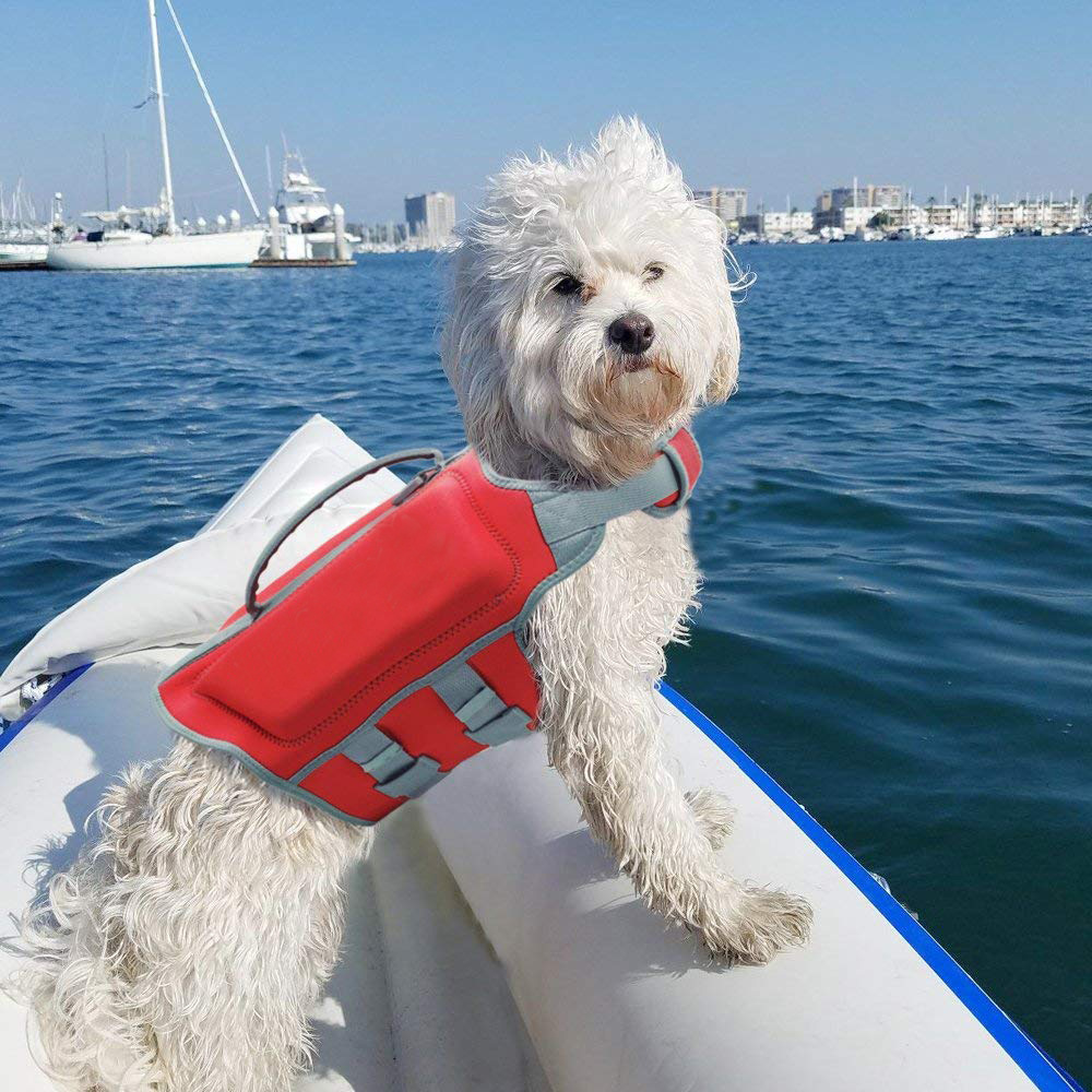 Pet Clothes Pet Dog Swimsuit Dog Life Jacket Dog Clothes Pet Life Vest