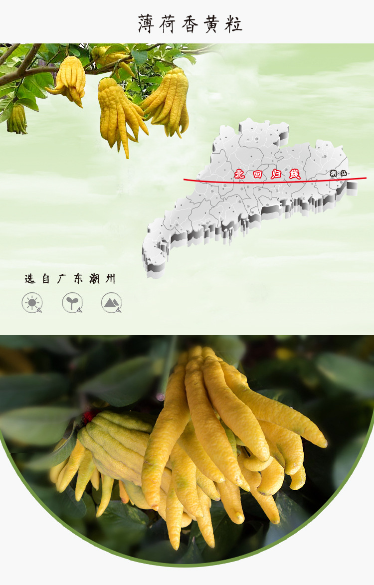 佳梅 潮汕特产佛手凉果老香黄佛手瓜老香橼180g 厂家批发
