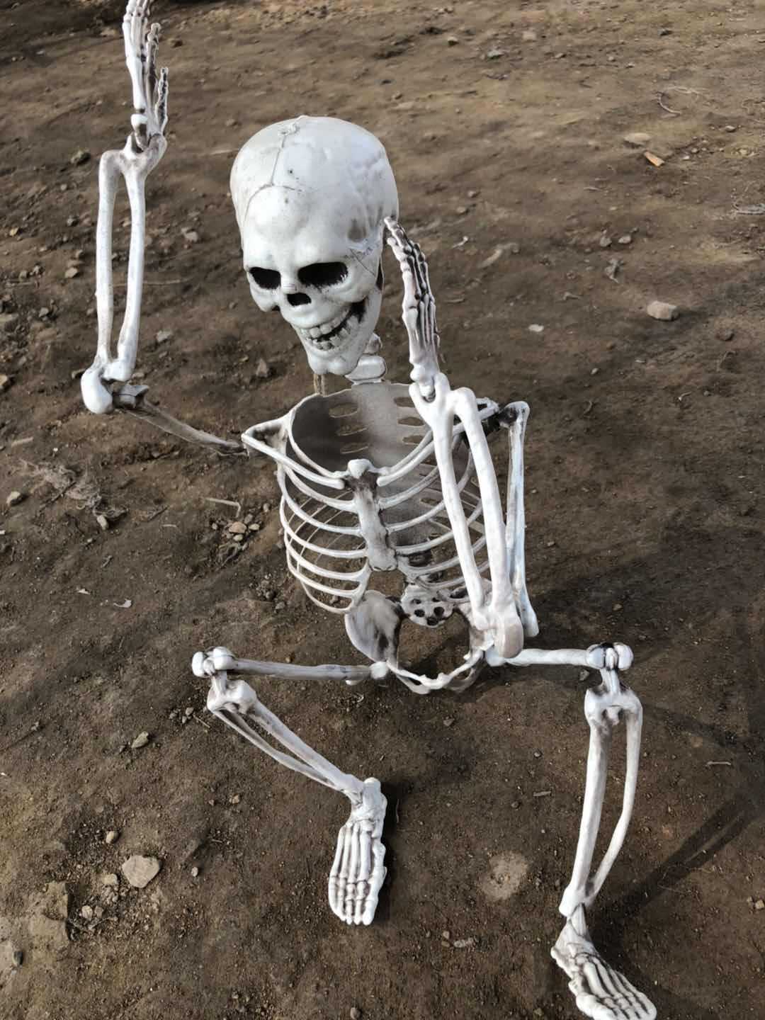 万圣节逃脱密室鬼屋仿真人体骨架恐怖道具盗墓骷髅骨架