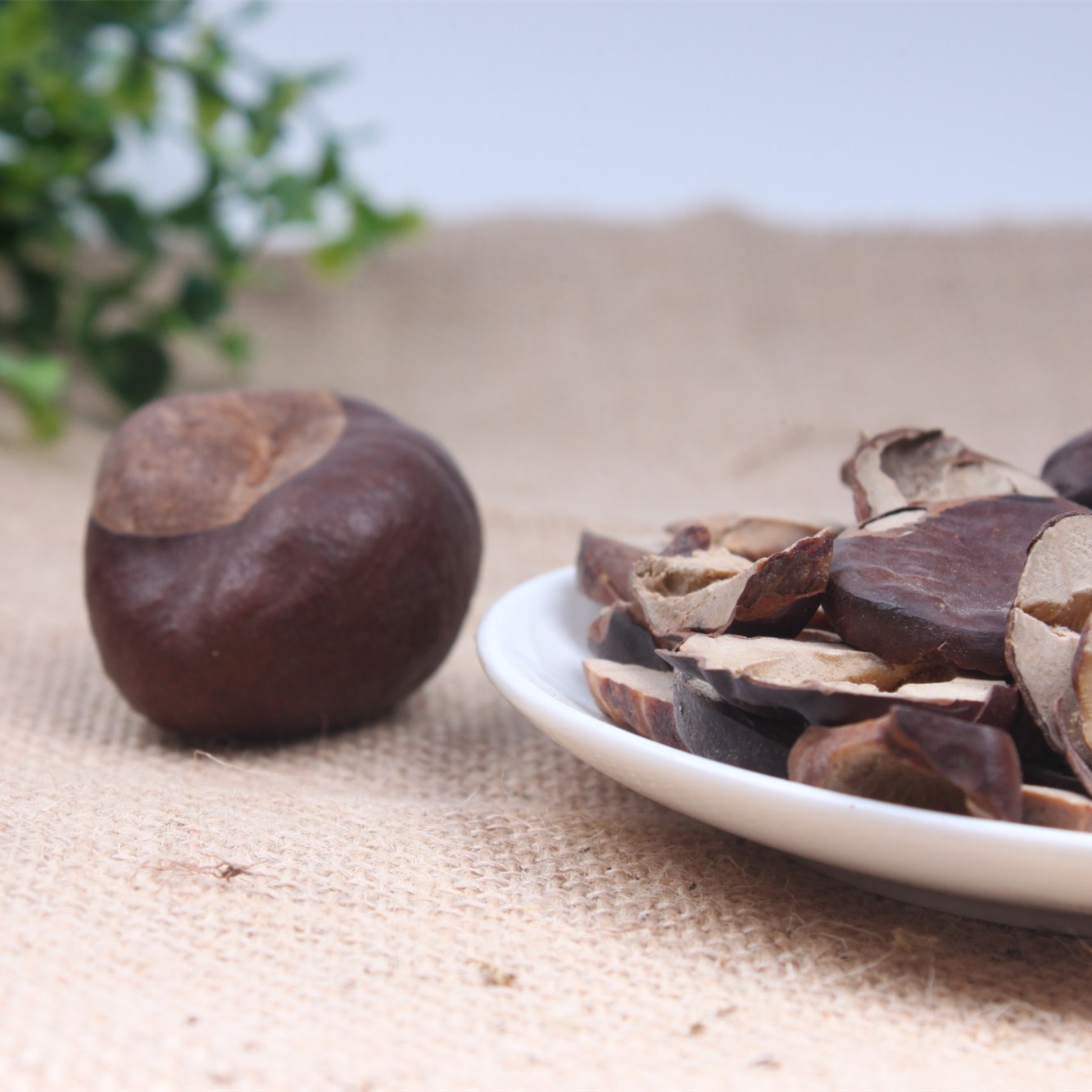 批发梭罗果冷背中药材梭罗果婆罗子梭罗果梭罗果子量大从优梭罗果