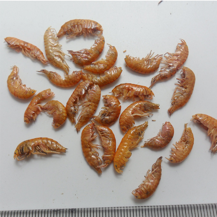 高蛋白补钙龟饲料通用龟粮淡水钩虾无盐小虾干巴西龟增色食物勾虾