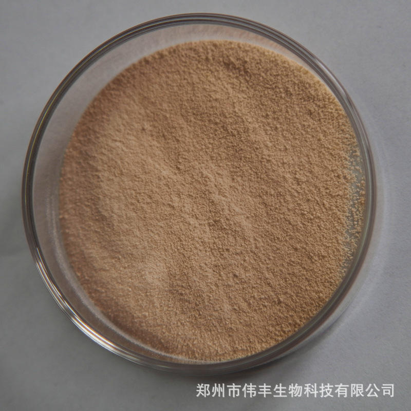 核桃肽 核桃蛋白肽 小分子肽 核桃低聚肽粉 核桃仁提取物