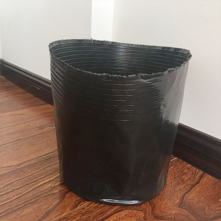 批发 黑色塑料营养钵 育苗盆育秧盆营养杯农用营养钵 规格齐全