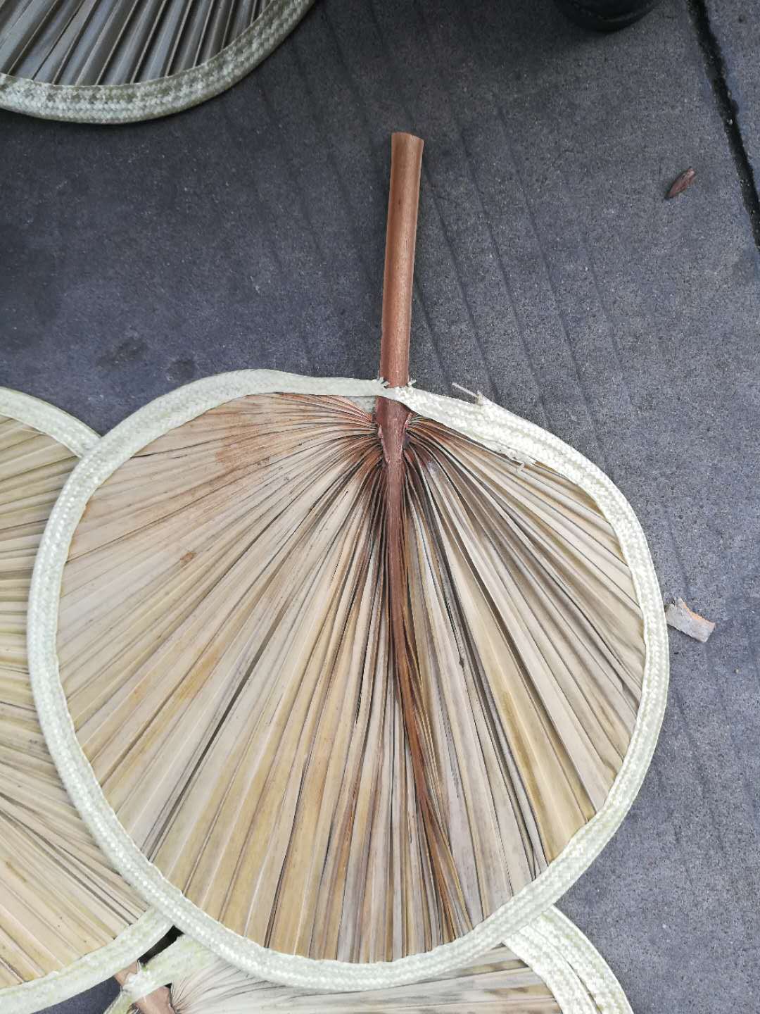 厂家直销 扇子大蒲扇 葵扇 芭蕉扇 天然环保原生态扇 量大从优
