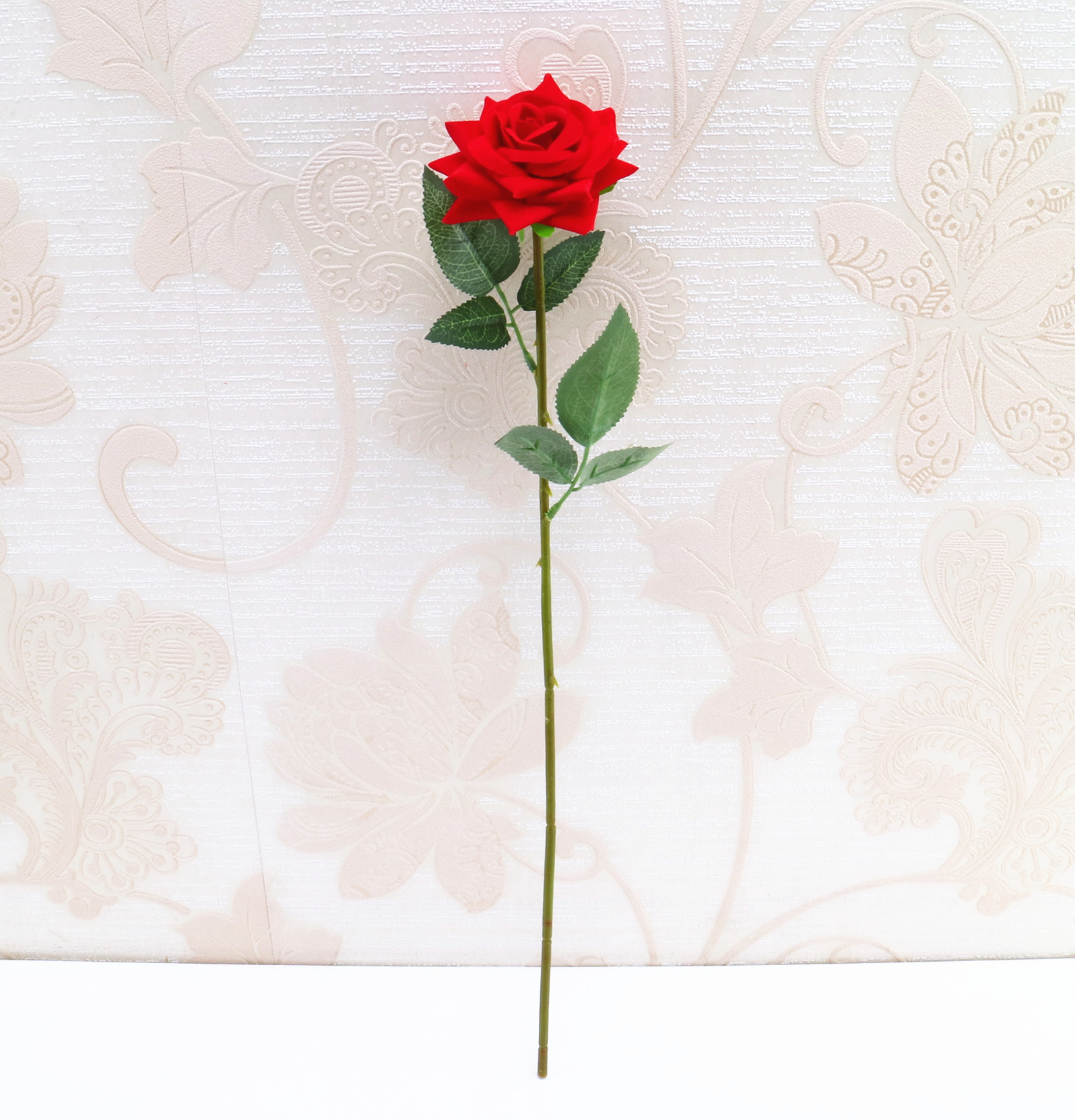 一支玫瑰花 实拍图片