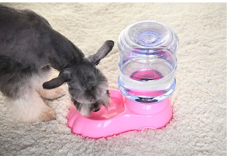 8l狗狗自动喂食器宠物自动饮水器猫咪喂水器猫狗自动储粮