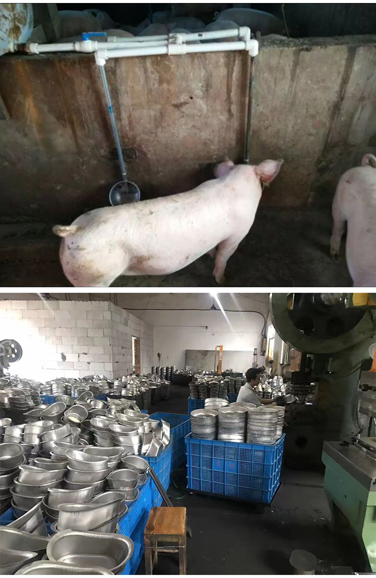 猪用饮水碗自动不锈钢仔猪饮水槽带排污口小猪碗式饮水器畜牧设备