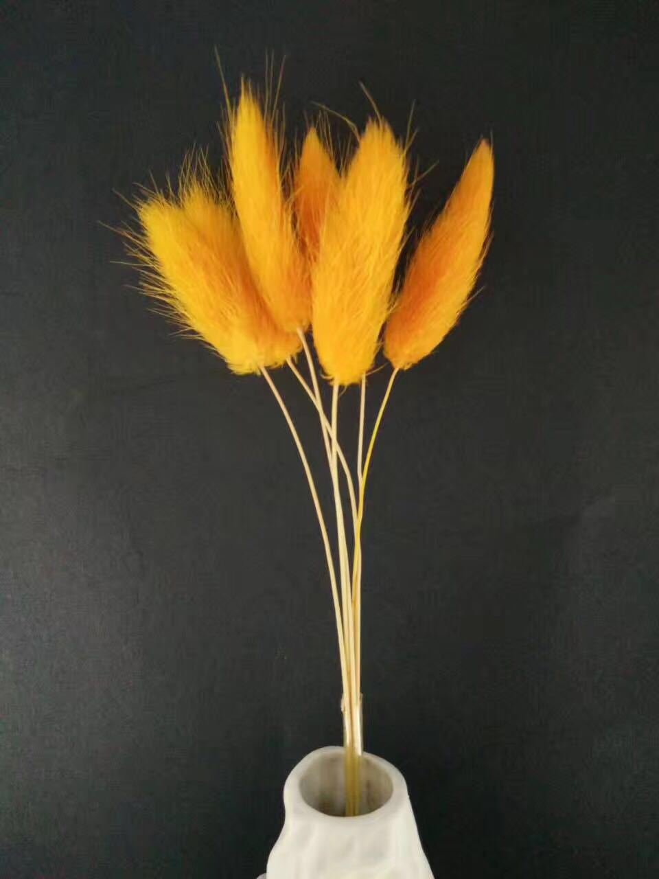 【兔尾草】真花自然风干染色 干花花束 永生花配材 家居装饰