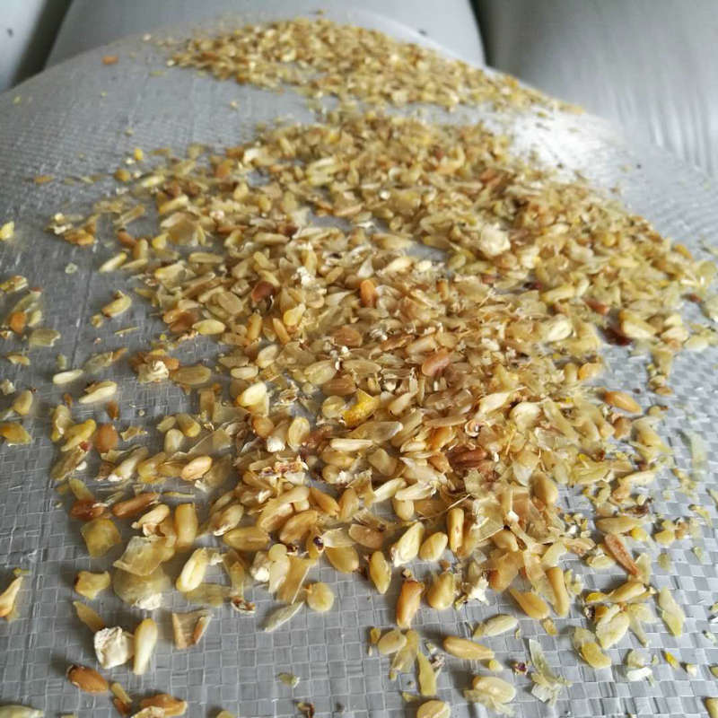 优质高出油率玉米胚芽