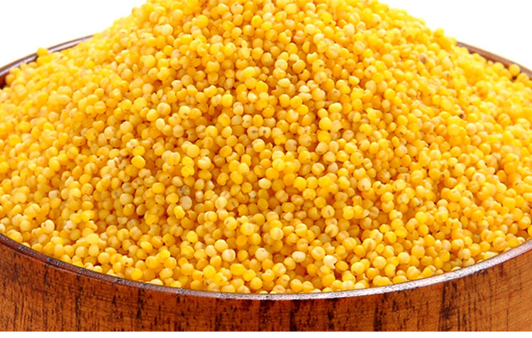 金花寨有机小米400g*10袋小黄米甘肃张掖特产月子米宝宝米孕妇米