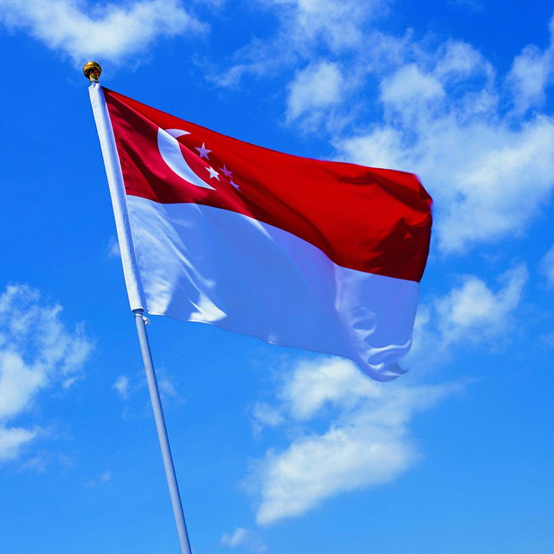 工厂现货批发90*150cm3*5ft新加坡国旗4号涤纶旗帜singapore flag
