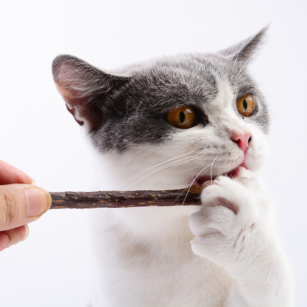 抖音爆款新款猫咪磨牙棒木天蓼棒拉菲草虫瘿果逗猫棒磨牙啃咬玩具