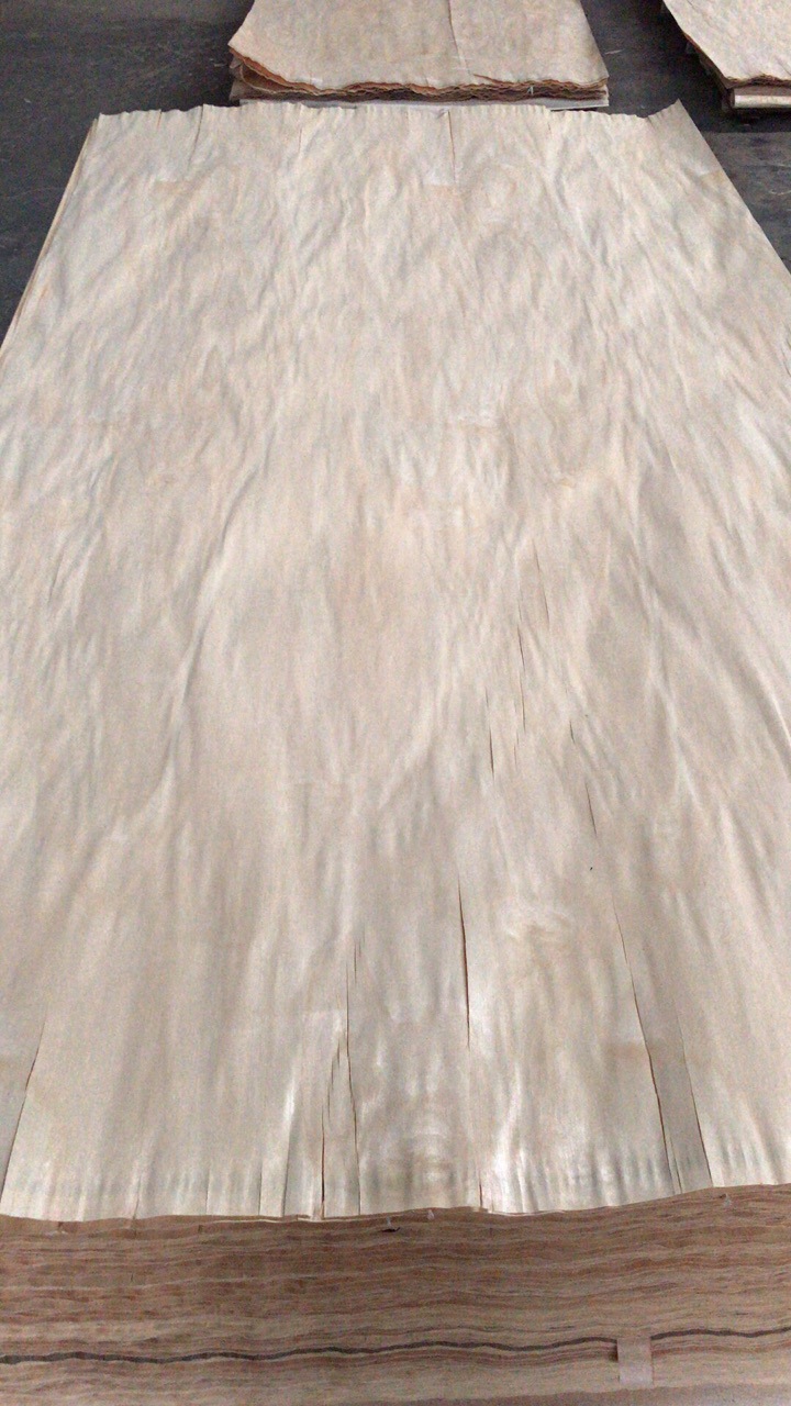 55丝白山榄单板