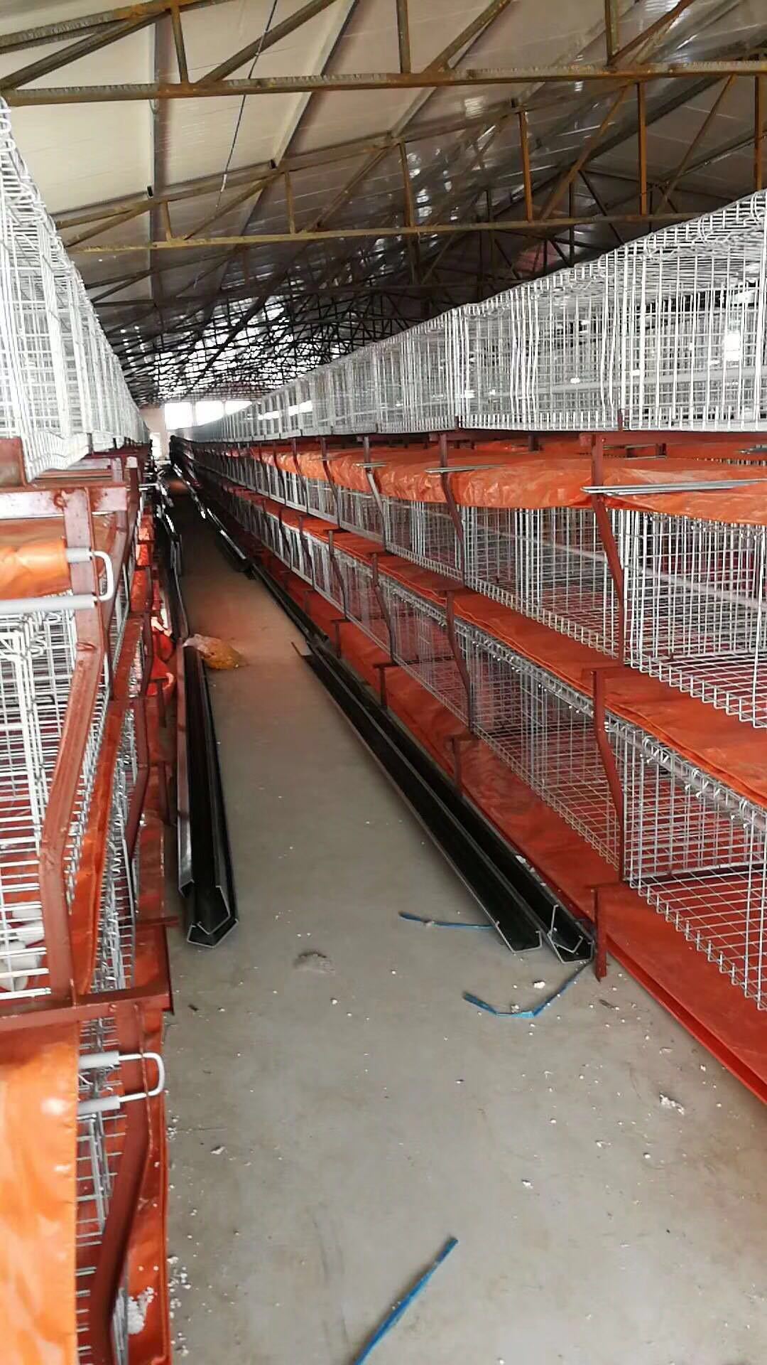 鸡笼子售后服务:无论是蛋鸡笼,小鸡笼还是肉鸡笼,兔子笼都可上门安装