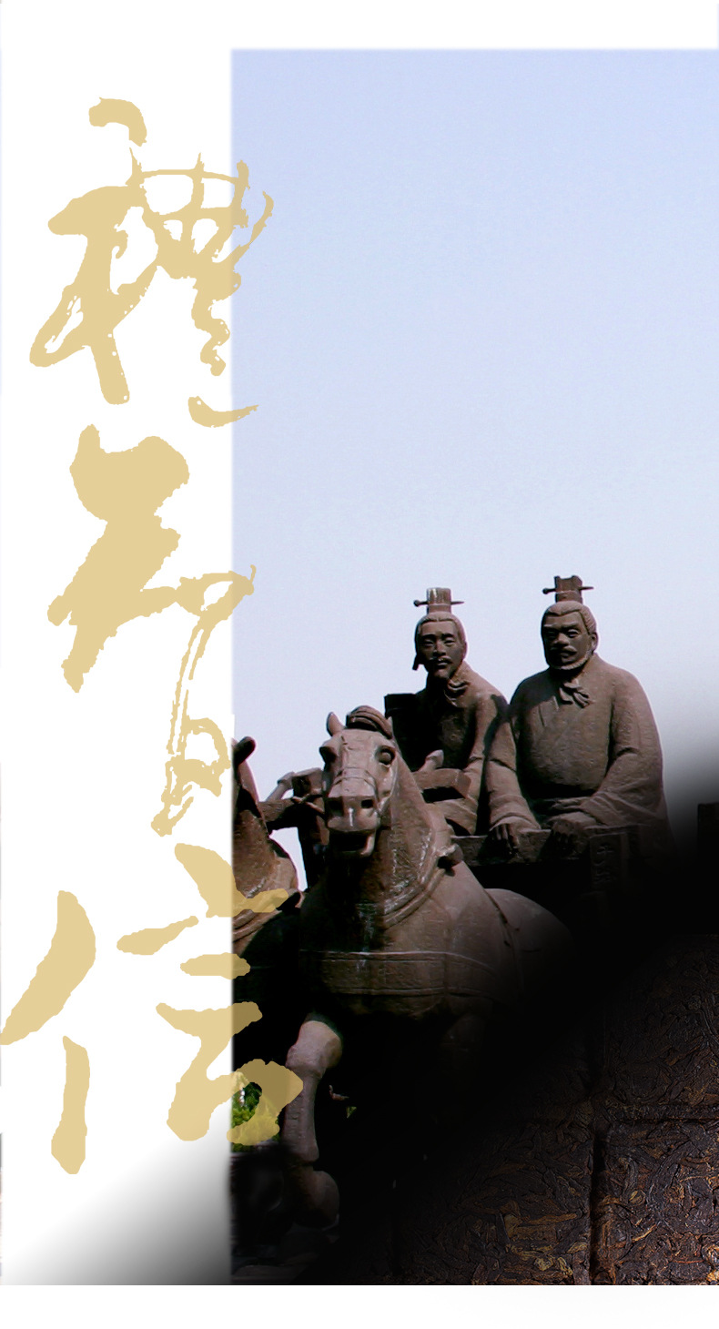 老同志绿色方圆 孔子诞辰纪念茶 单砖55g 普洱茶砖迷你小熟砖