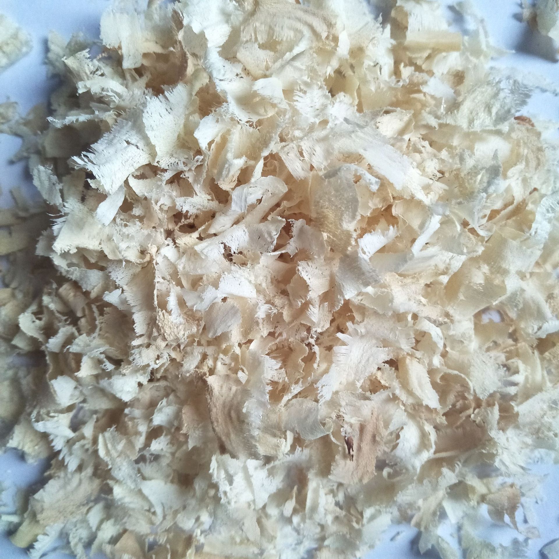 现货供应 仓鼠用品白杨木木质垫料清爽除臭吸尿刨花