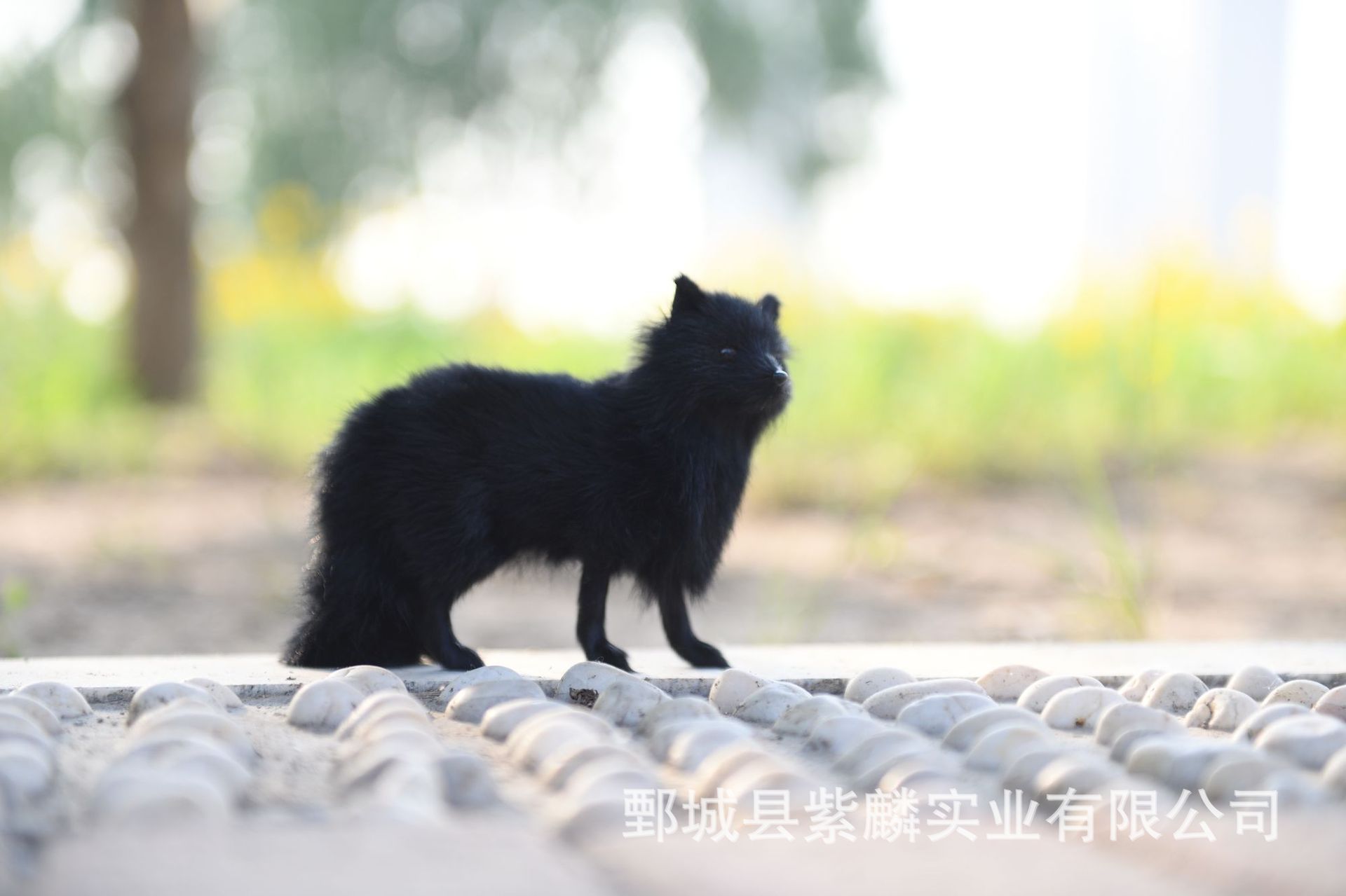 仿真狐狸仿真动物模型摆件黄色狐狸标本生日礼物礼品摄影道具