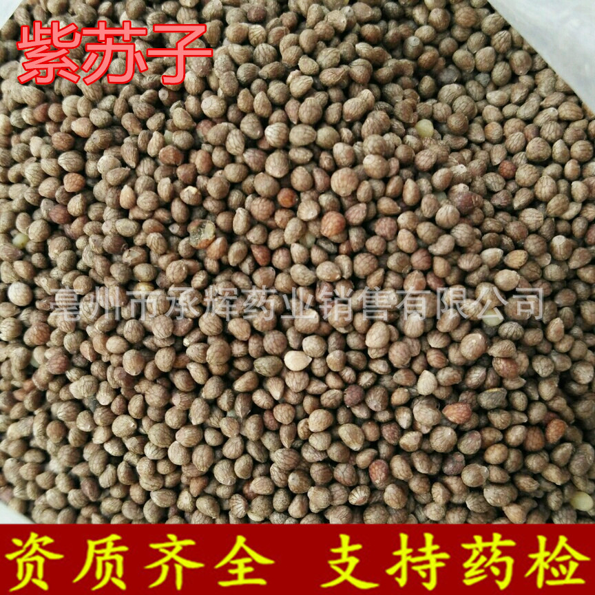 无硫新货 紫苏子 中药材 紫苏籽 紫苏种子 支持药检 承接订单